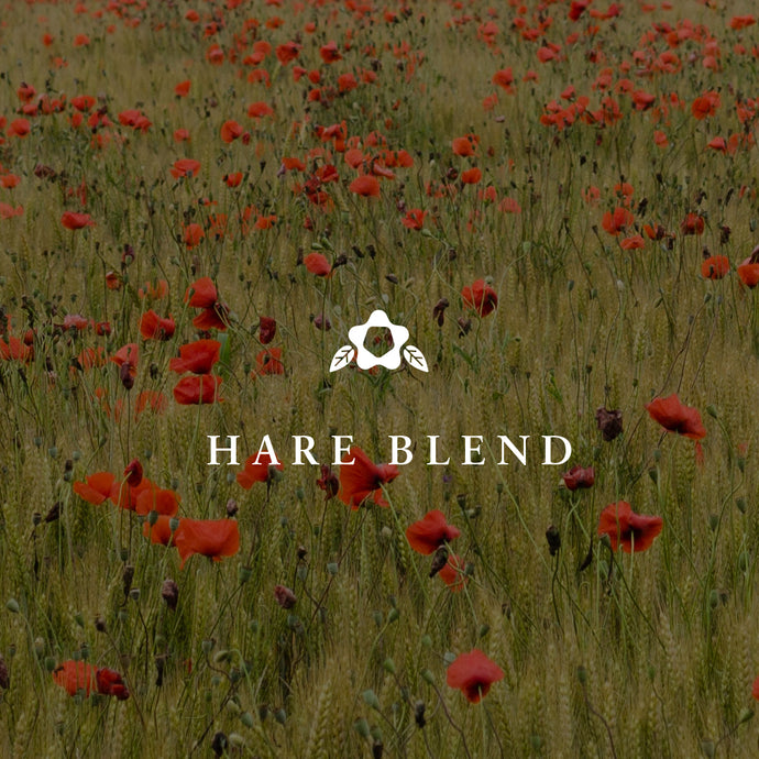 Hare Blend Espresso