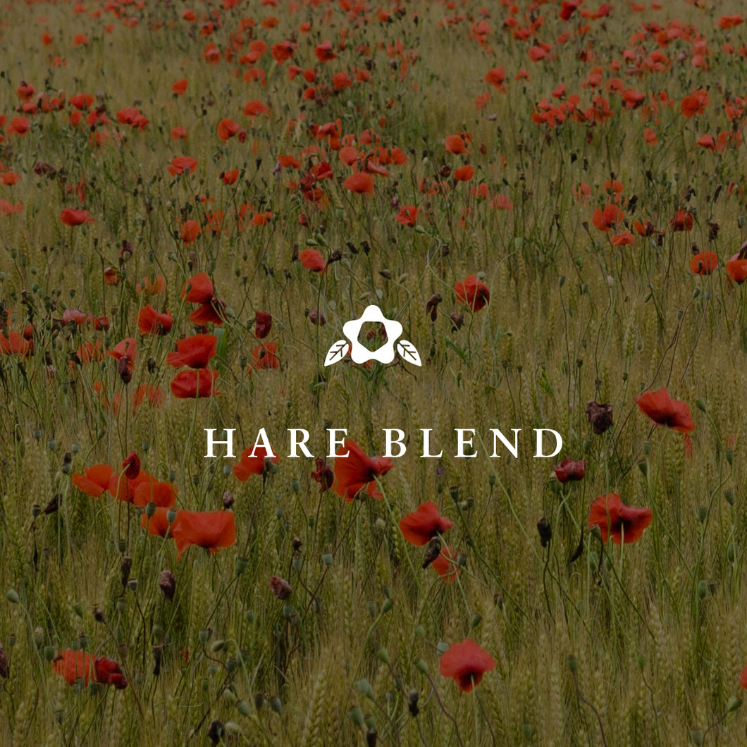 Hare Blend Espresso