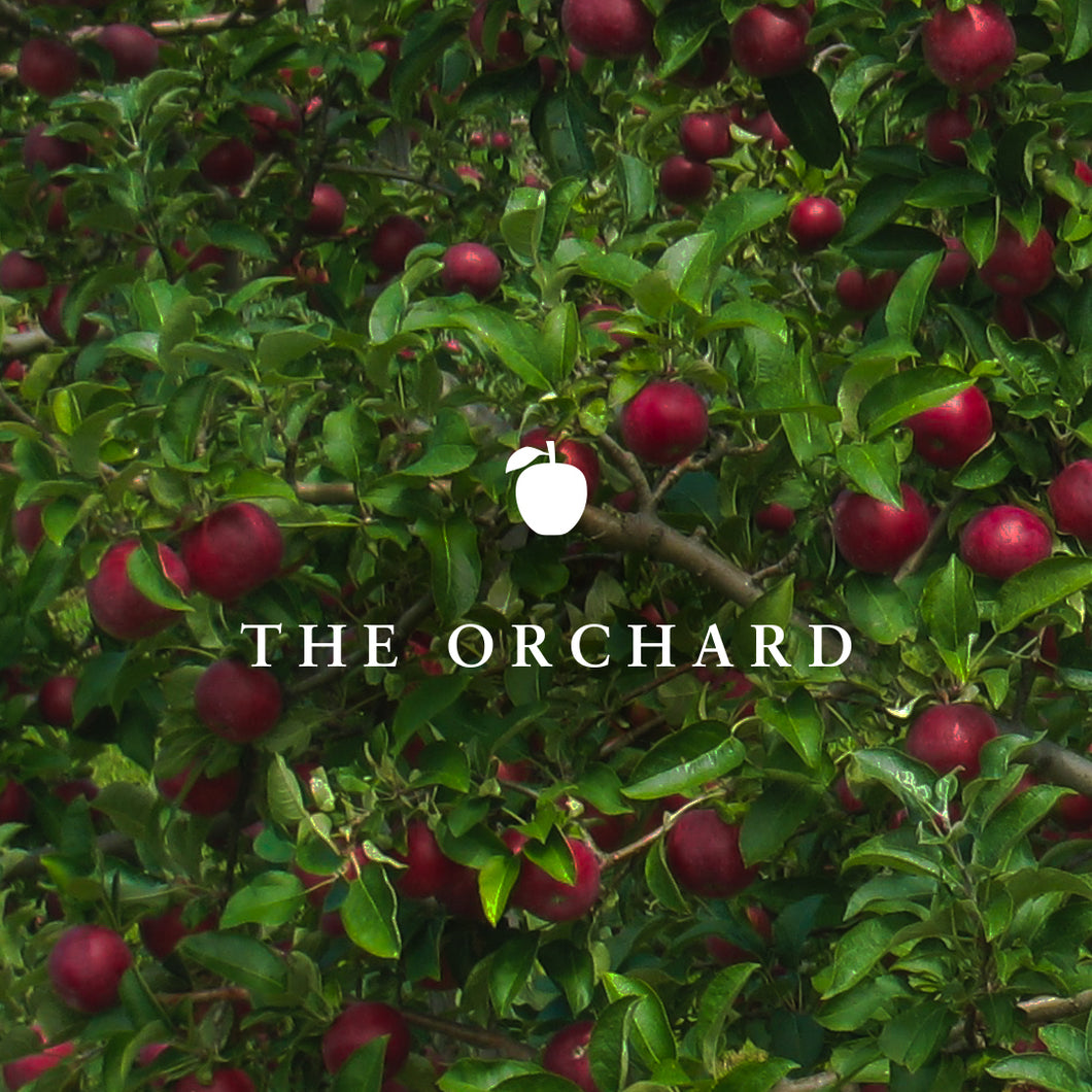 The Orchard